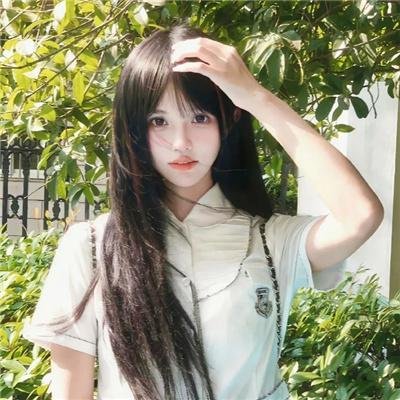群莺乱飞